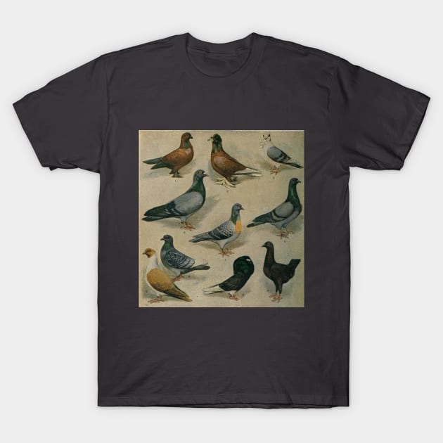 Vintage Pigeons T-Shirt by bluespecsstudio